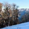 Фото 3.jpg